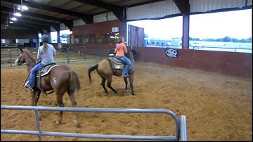 Valley View Ranch - Nip - sorting practice 9-7-11