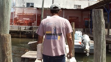 Yates v. United States