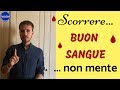 Espressioni italiane: SCORRERE BUON SANGUE e BUON SANGUE NON MENTE! 4 Learn Italian expressions!