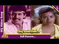 Adi kanne ilam penne song  paadum vaanampadi movie songs  anand babu  jeevitha  nagesh