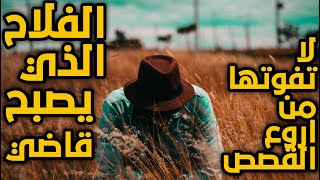 من اروع القصص واجملها قصة قصيرة [الفلاح الذي اصبح قاضياً]