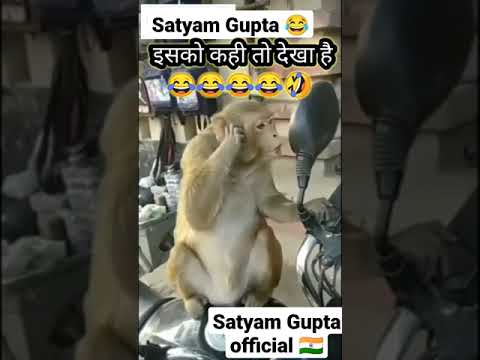 hindi comedy status || comedy status || funny video || funny whatsapp status || #shorts #ytshorts