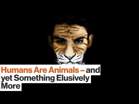 humans-are-animals-—-yet-crucially-we-are-something-more-|-t.c.-boyle