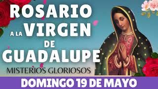 ✅SANTO ROSARIO A LA VIRGEN DE GUADALUPE HOY DOMINGO  19 DE MAYO FE  Catolica oficial