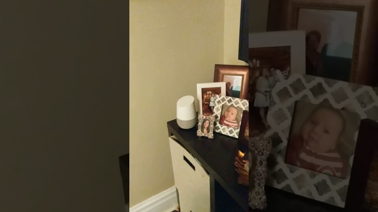 arlo google home integration