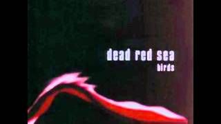 Dead Red Sea - Bad Man