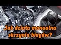 MANUALNA SKRZYNIA BIEGÓW, JAK JEST ZBUDOWANA, JAK DZIAŁA I ...