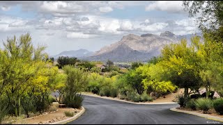 Agua Dulce HOA Landscape Annual Report (2023-24) by Modest Maker 430 views 3 months ago 17 minutes