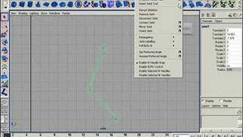 Maya - Inserting Joints