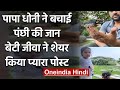 MS Dhoni, his wife help revive unconscious bird
