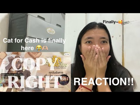 THIS IS SO GOOD!! [Official Trailer] เปย์รักด้วยแมวเลี้ยง Cat For Cash | REACTION!!