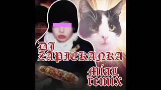 DJ ZAPIEKANKA - MIAŁ REMIX
