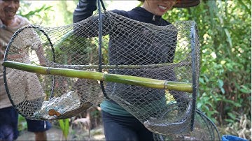 1769 / Thăm lờ cá lóc dính thấy ham