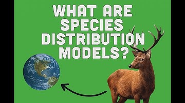 What Are Species Distribution Models SDMs?