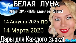 видео: 🛑БЕЛАЯ ЛУНА МЕНЯЕТ ЗНАК 14.08.2025-14.03.2026, Дары Белой Луны каждому знаку Зодиака/АНГЕЛ ХРАНИТЕЛЬ картинка: 🛑БЕЛАЯ ЛУНА МЕНЯЕТ ЗНАК 14.08.2025-14.03.2026, Дары Белой Луны каждому знаку Зодиака/АНГЕЛ ХРАНИТЕЛЬ