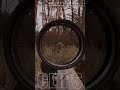 This Is My Bloodsucker Jam | STALKER 2 | Music @TheInstitute91
