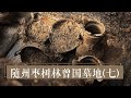 解读积水大墓出土文物 《2020考古进行时》第一季 随州枣树林曾国墓地（七）| 中华国宝
