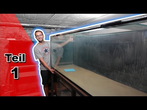 Video: Wie Erstelle Ich Ein 700-Liter-Aquarium