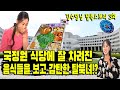 (서울의 추억 김수영님 3회) 죽기전에 비행기를 타보는게 소원 이었던 탈북녀!