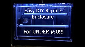 Easy DIY Green Tree Python Amazon Tree Boa enclosure Step By Step HOW-TO for UNDER $50!!!