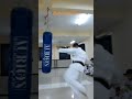 Making Round house kick strong on punching bag #share #ytshorts #youtubeshorts #viral