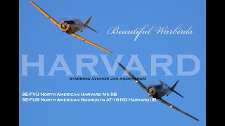 video thumbnail for: North American Harvard Mk IIB/SK16 starring Jan Andersson! Great sound!