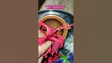 रविवार के दिन गुड़ चावल और लाल मिर्च के 11 दानों से करें ये उपाय /पंडित प्रदीप मिश्रा #शिवमहापुराण​