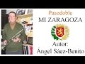 Mi Zaragoza