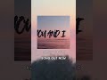 you and I is more then enough #deephouse #lyrics #tropicalchill #edm #summervibes #chilloutmusic