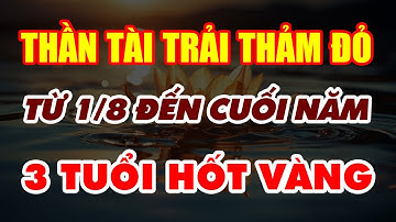 Tử Vi 3 Con Giáp: Thần Tài Trải Thảm Đỏ Từ Mùng 1 Tháng 8 Âm Lịch - Đến Cuối Năm, Hốt Vàng Thiên Hạ