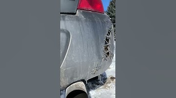 Am I becoming a ricer?! (whoops)