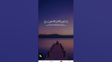 وكان الله غفوراً رحيماً #تلاوة_قرآن #القرآن_الكريم #qurankareem #quran #تلاوة_مؤثرة #خشوع #تلاوة