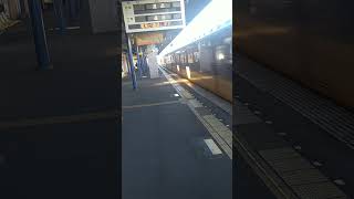 京阪8000系8010F 　　　　　　特急 淀屋橋行