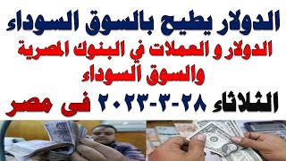 سعر الدولار اليوم | أسعار الدولار اليوم /اسعار الدولار السوق السوداء اليوم في مصر الثلاثاء 2023/3/28