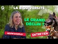 Dclin de la biodiversit  que se passeraitil   qspt 11 hlne soubelet partie 1