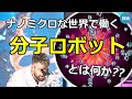 【分子ロボット】反応・制御・駆動する分子達が生み出す機能や役割について（字幕あり）