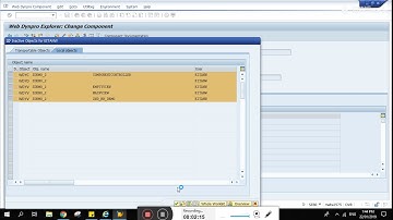 SAP + WebDynpro Part 3