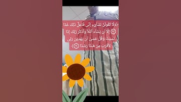 تلاوة آيات من سورة الكهف .في صلاة التراويح .بمدينة لهاي الهولندية.