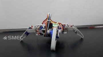 Robotic Spider with IoT