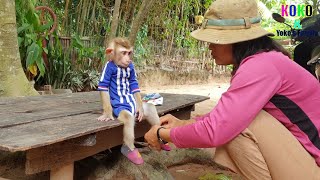 Really Smart Precious Baby Monkey Yoko Sitting For Mommy Wear The Shoes