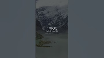 تلاوة خاشعة مع آيات مختارة من القرآن الكريم #88