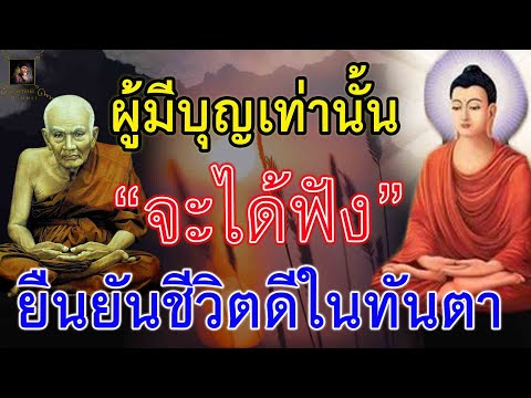 คนมีบุญจะไม่เลื่อนผ่าน หลักธรรมแห่งความสุข สู่ความเจริญในชีวิตในชาตินี้