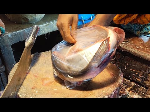 Fish Cutting Skills Live