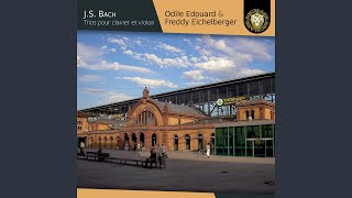 Sonata for Violin and Continuo in G Major, BWV 1021: III. Largo