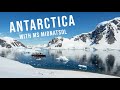 Antarctica with Hurtigruten MS Midnatsol