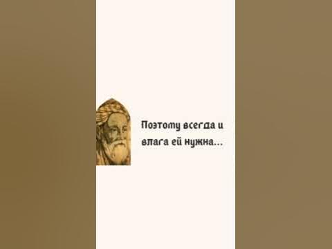Омар Хайям | Афоризмы - YouTube