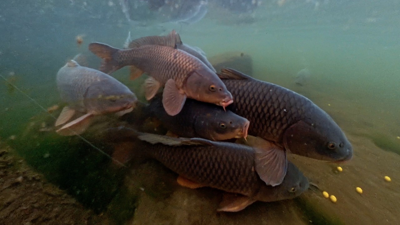 Why Pop Ups Didn’t Work – But This Did