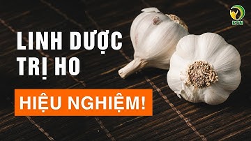 6 cách trị ho từ tỏi hiệu nghiệm, thay thế kháng sinh - KHOẺ TỰ NHIÊN