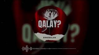 Erkebulan - Qalay? | Премьера Песни (2024)