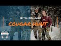Cougar Hunt Feb 2021